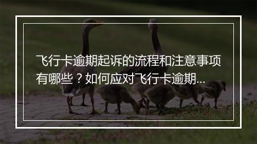 飞行卡逾期起诉的流程和注意事项有哪些？如何应对飞行卡逾期起诉？