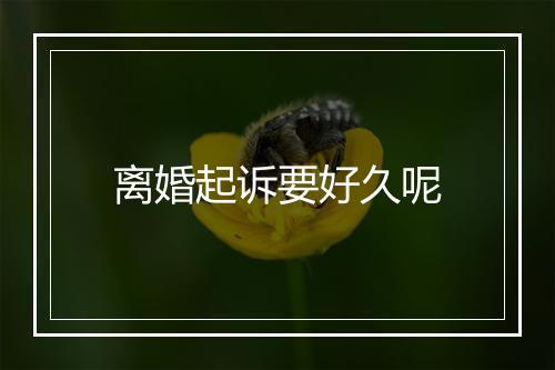 离婚起诉要好久呢