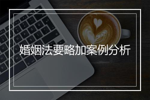 婚姻法要略加案例分析