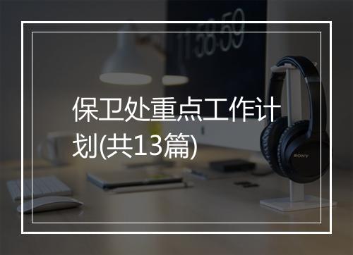 保卫处重点工作计划(共13篇)