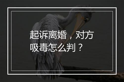 起诉离婚，对方吸毒怎么判？