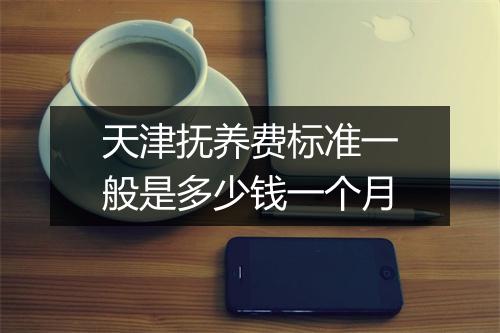 天津抚养费标准一般是多少钱一个月