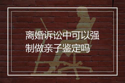离婚诉讼中可以强制做亲子鉴定吗