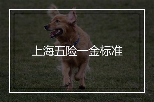 上海五险一金标准