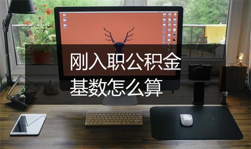 刚入职公积金基数怎么算