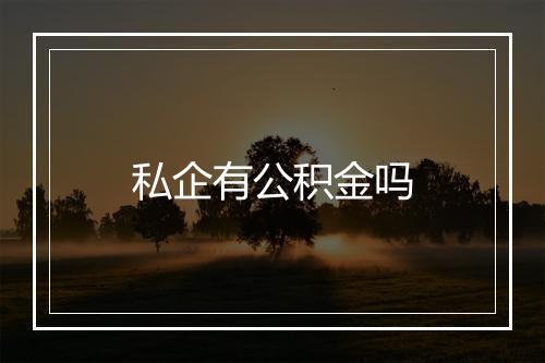 私企有公积金吗