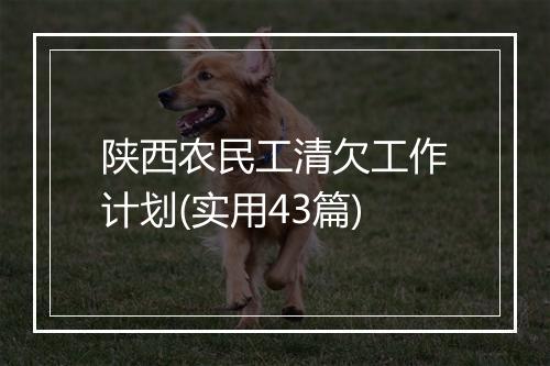 陕西农民工清欠工作计划(实用43篇)