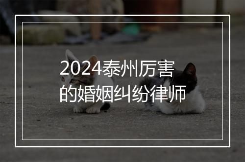 2024泰州厉害的婚姻纠纷律师