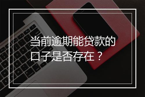 当前逾期能贷款的口子是否存在？
