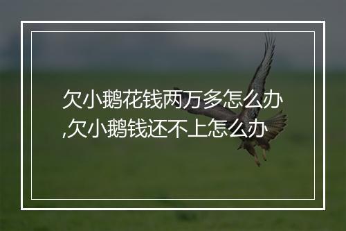 欠小鹅花钱两万多怎么办,欠小鹅钱还不上怎么办