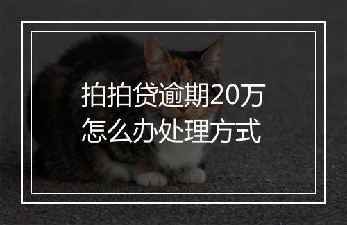 拍拍贷逾期20万怎么办处理方式