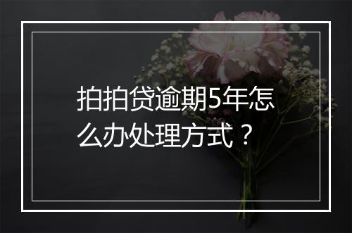 拍拍贷逾期5年怎么办处理方式？