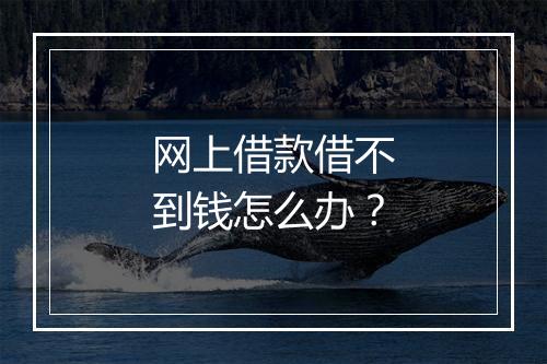 网上借款借不到钱怎么办？
