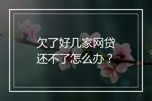 欠了好几家网贷还不了怎么办？