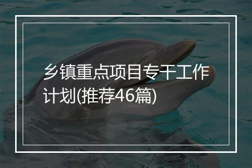 乡镇重点项目专干工作计划(推荐46篇)