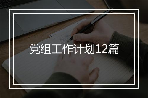 党组工作计划12篇