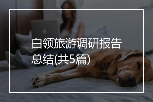 白领旅游调研报告总结(共5篇)