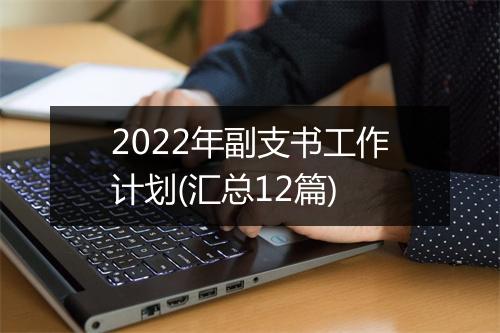 2022年副支书工作计划(汇总12篇)