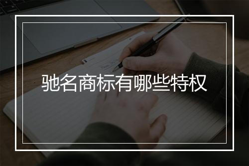 驰名商标有哪些特权