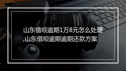 山东借呗逾期1万8元怎么处理,山东借呗逾期逾期还款方案