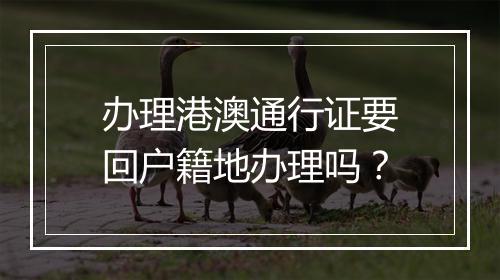 办理港澳通行证要回户籍地办理吗？