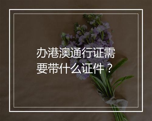 办港澳通行证需要带什么证件？