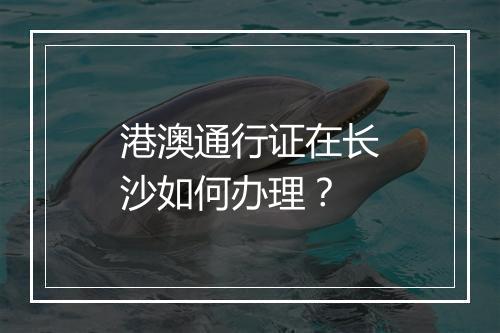 港澳通行证在长沙如何办理？