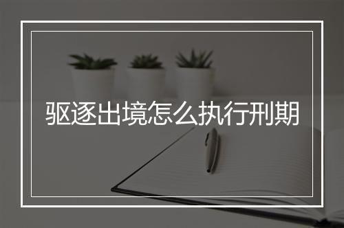 驱逐出境怎么执行刑期