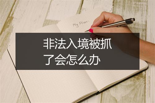 非法入境被抓了会怎么办