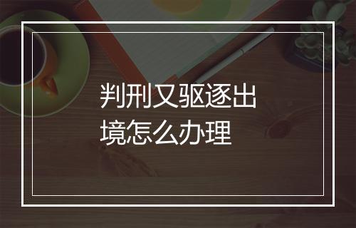 判刑又驱逐出境怎么办理