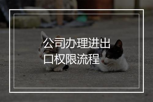 公司办理进出口权限流程