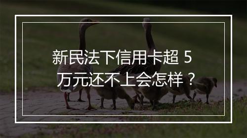 新民法下信用卡超 5 万元还不上会怎样？