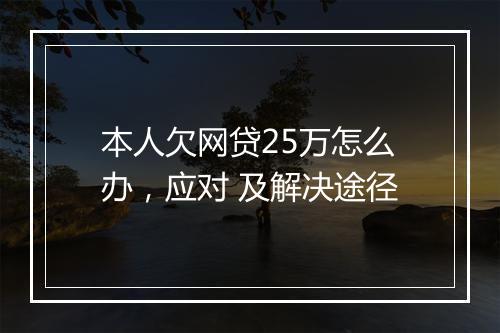 本人欠网贷25万怎么办，应对 及解决途径