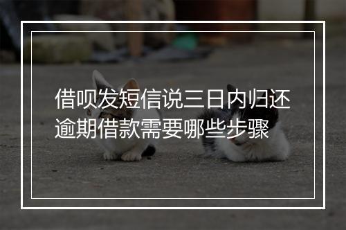 借呗发短信说三日内归还逾期借款需要哪些步骤
