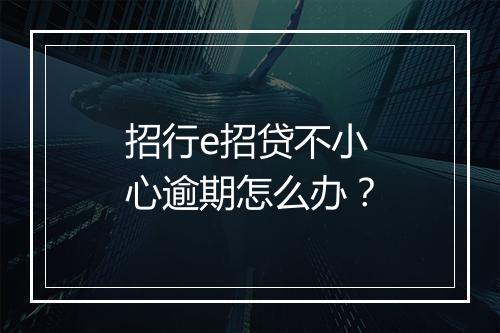 招行e招贷不小心逾期怎么办？
