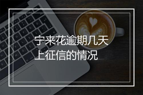 宁来花逾期几天上征信的情况