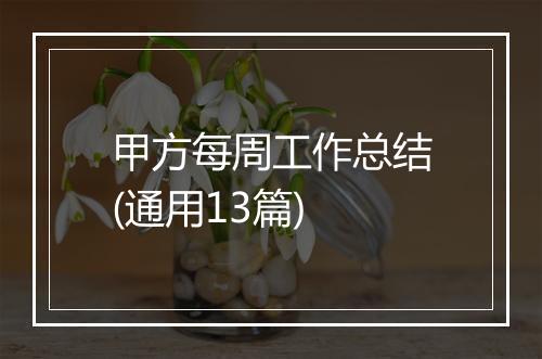 甲方每周工作总结(通用13篇)
