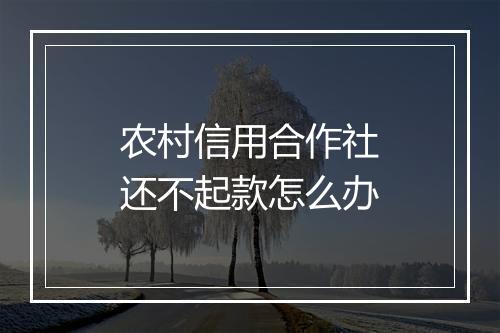 农村信用合作社还不起款怎么办