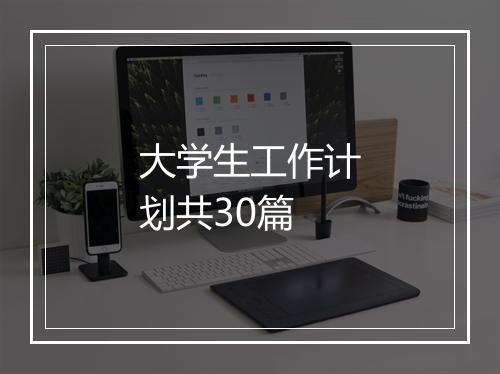 大学生工作计划共30篇