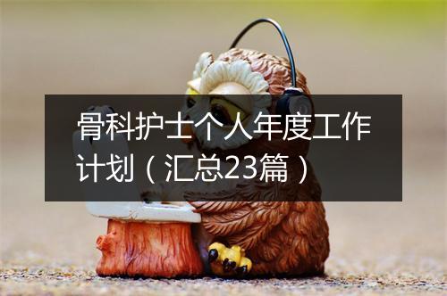 骨科护士个人年度工作计划（汇总23篇）