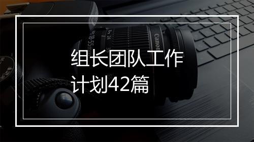 组长团队工作计划42篇