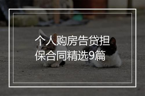 个人购房告贷担保合同精选9篇