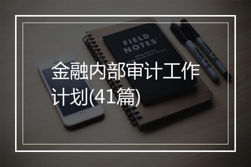 金融内部审计工作计划(41篇)
