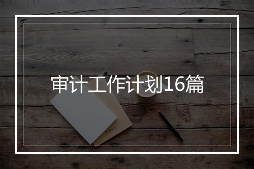 审计工作计划16篇