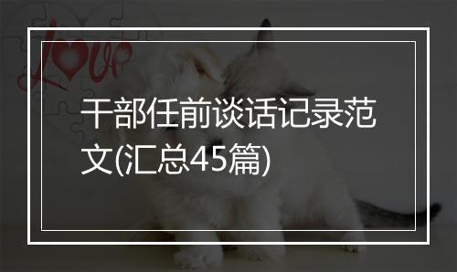 干部任前谈话记录范文(汇总45篇)