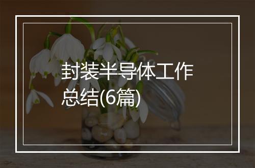 封装半导体工作总结(6篇)