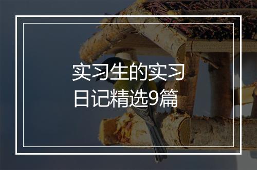 实习生的实习日记精选9篇