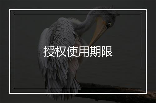 授权使用期限