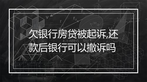 欠银行房贷被起诉,还款后银行可以撤诉吗