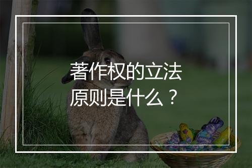 著作权的立法原则是什么？
